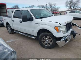 FORD F-150 XLT