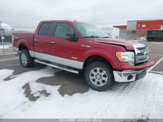 FORD F-150 XLT