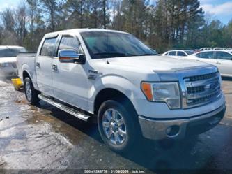 FORD F-150 XLT