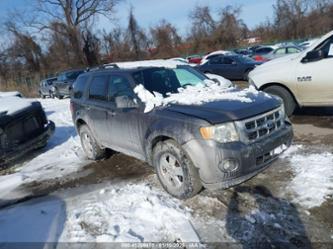 FORD ESCAPE XLT