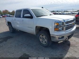 CHEVROLET SILVERADO 1500 1LT