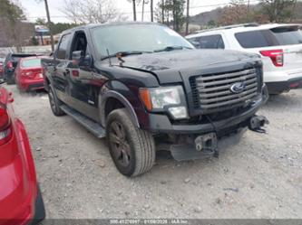 FORD F-150 FX4