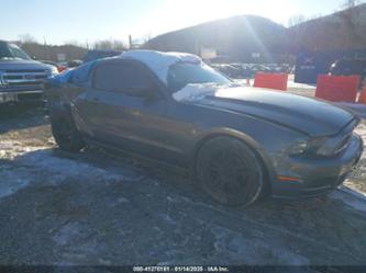 FORD MUSTANG V6