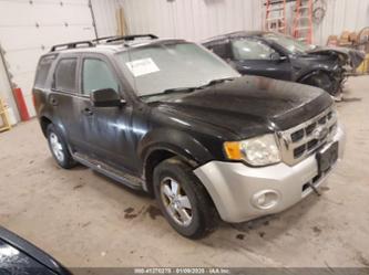 FORD ESCAPE XLT AUTOMATIC