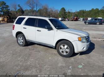 FORD ESCAPE XLT