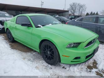 FORD MUSTANG V6