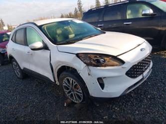 FORD ESCAPE SEL