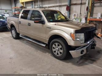 FORD F-150 XLT