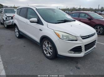 FORD ESCAPE SEL