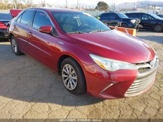 TOYOTA CAMRY HYBRID LE