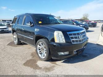 CADILLAC ESCALADE PLATINUM EDITION