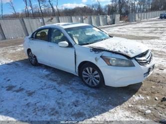 HONDA ACCORD 2.4 EX-L