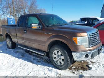 FORD F-150 XLT