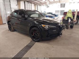 ALFA ROMEO STELVIO QUADRIFOGLIO AWD