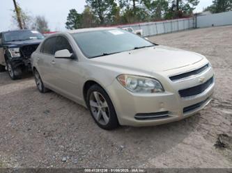 CHEVROLET MALIBU 1LT