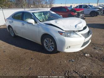 LEXUS ES 300H