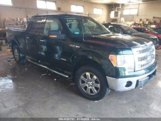 FORD F-150 XLT