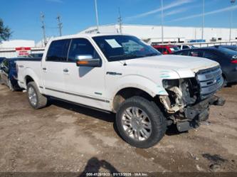 FORD F-150 PLATINUM