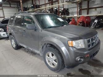 FORD ESCAPE XLT