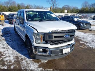 FORD F-150 XL