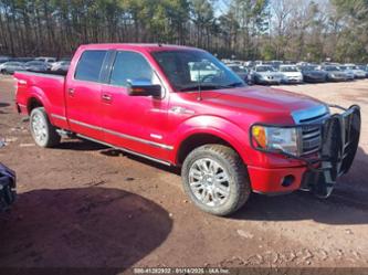 FORD F-150 PLATINUM