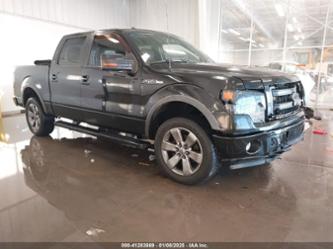 FORD F-150 FX4