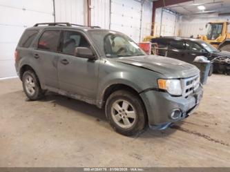 FORD ESCAPE XLT