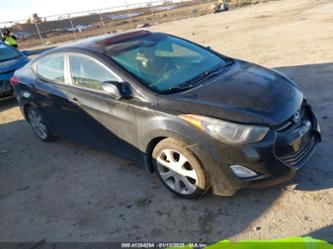 HYUNDAI ELANTRA LIMITED (ULSAN PLANT)