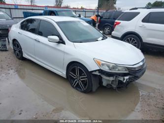 HONDA ACCORD SPORT SE