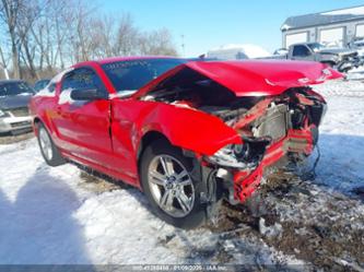 FORD MUSTANG V6