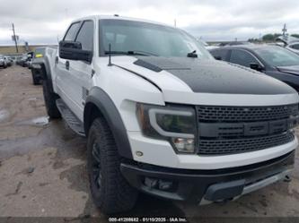 FORD F-150 SVT RAPTOR