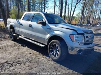 FORD F-150 XLT