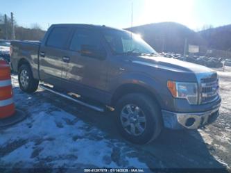 FORD F-150 XLT