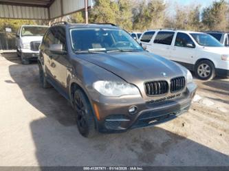 BMW X5 XDRIVE35I/XDRIVE35I PREMIUM/XDRIVE35I SPORT ACTIVITY