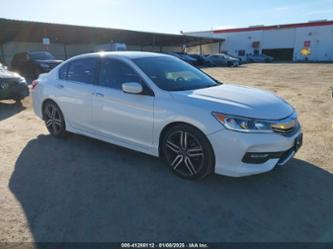 HONDA ACCORD SPORT SE