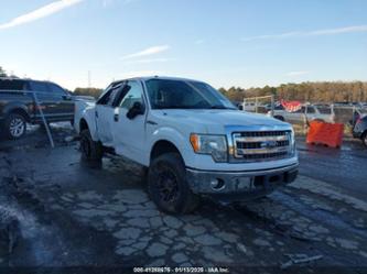 FORD F-150 XLT