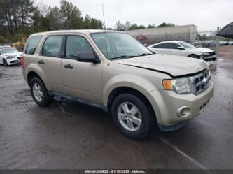 FORD ESCAPE XLS