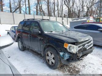 FORD ESCAPE XLT