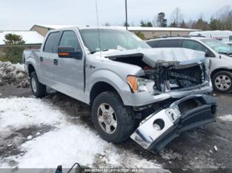 FORD F-150 FX4/HARLEY-DAVIDSON/KING RANCH/LARIAT/PLATINUM/XL/XLT