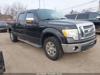 FORD F-150 FX4/HARLEY-DAVIDSON/KING RANCH/LARIAT/PLATINUM/XL/XLT