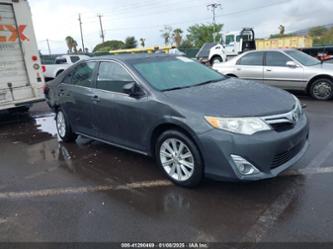 TOYOTA CAMRY XLE V6