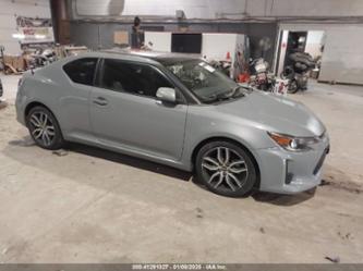 SCION TC