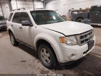 FORD ESCAPE XLT