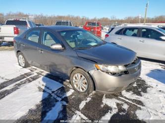 KIA FORTE EX