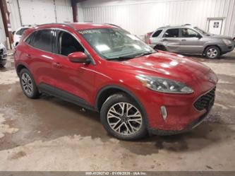 FORD ESCAPE SEL