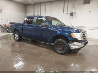 FORD F-150 XL/XLT