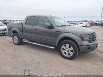 FORD F-150 FX4/HARLEY-DAVIDSON/KING RANCH/LARIAT/PLATINUM/XL/XLT