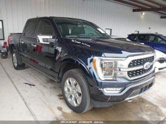 FORD F-150 PLATINUM