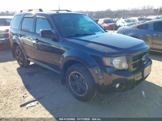 FORD ESCAPE XLT