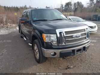 FORD F-150 FX4/HARLEY-DAVIDSON/KING RANCH/LARIAT/PLATINUM/XL/XLT